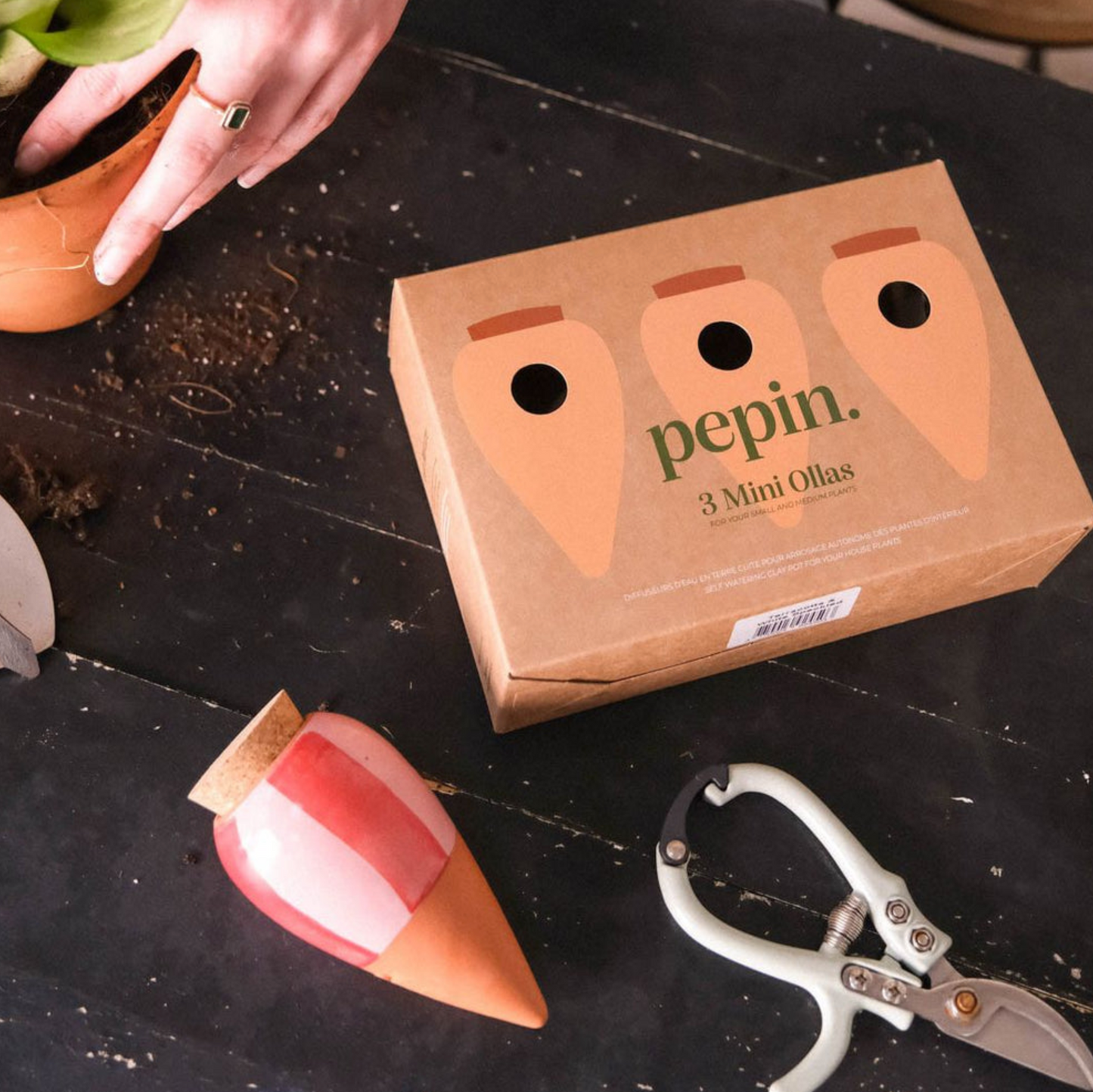 Pepin Trio Mini Ollas - The Striped Ones
