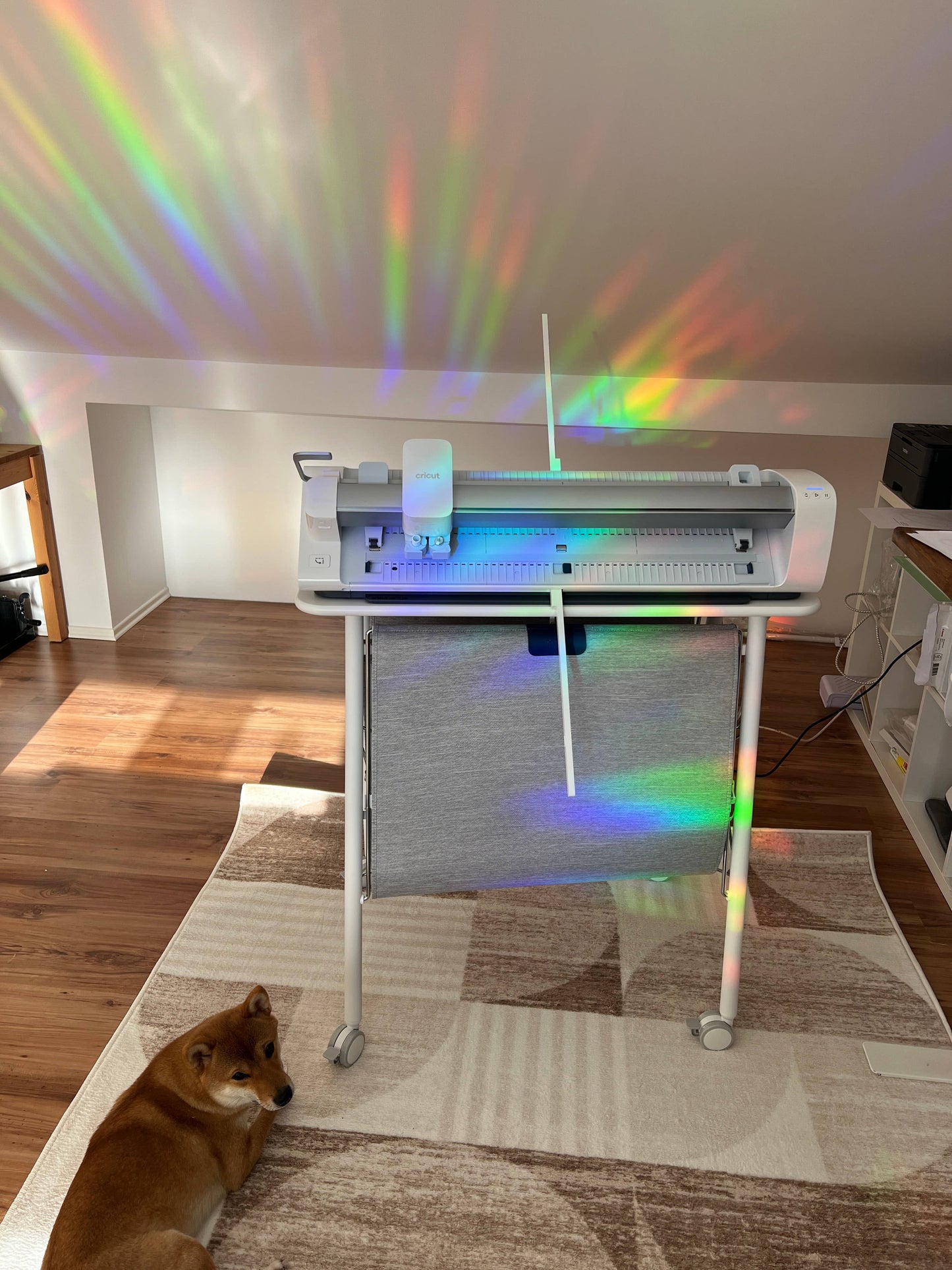 Suncatcher Window Sticker Circle, Prism Sticker