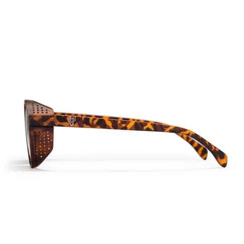 Rickard Sunglasses - Matte Turtle Brown