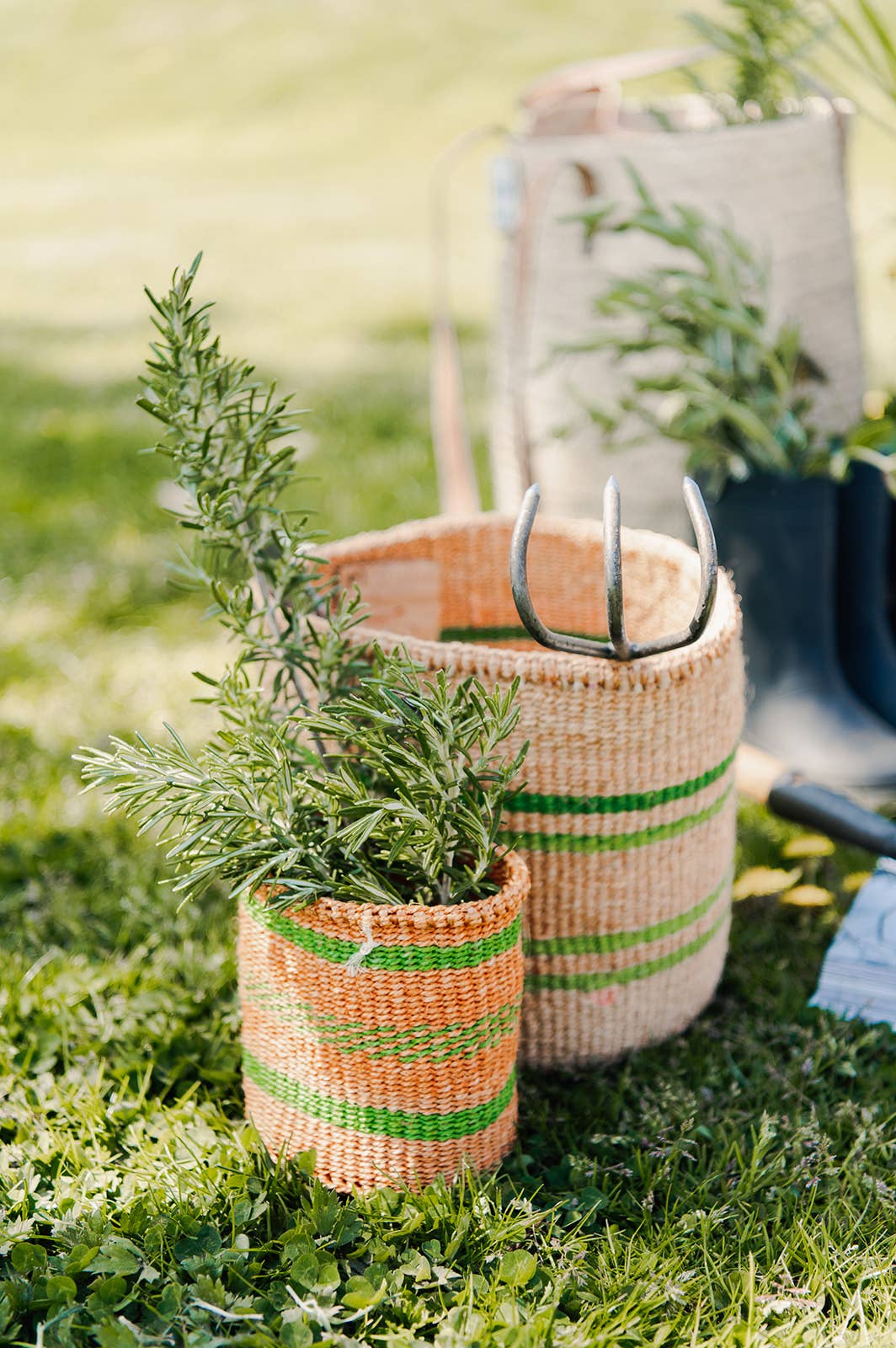 Handwoven Sisal Baskets - Colourful hues - XL