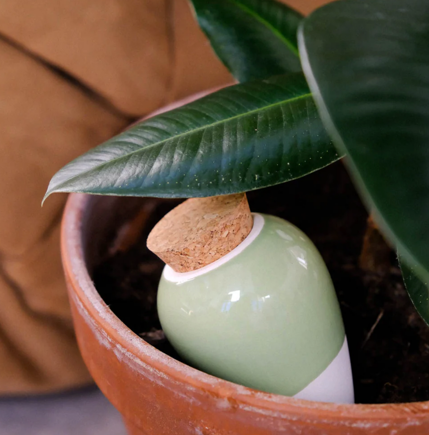 Pepin Olla - Green