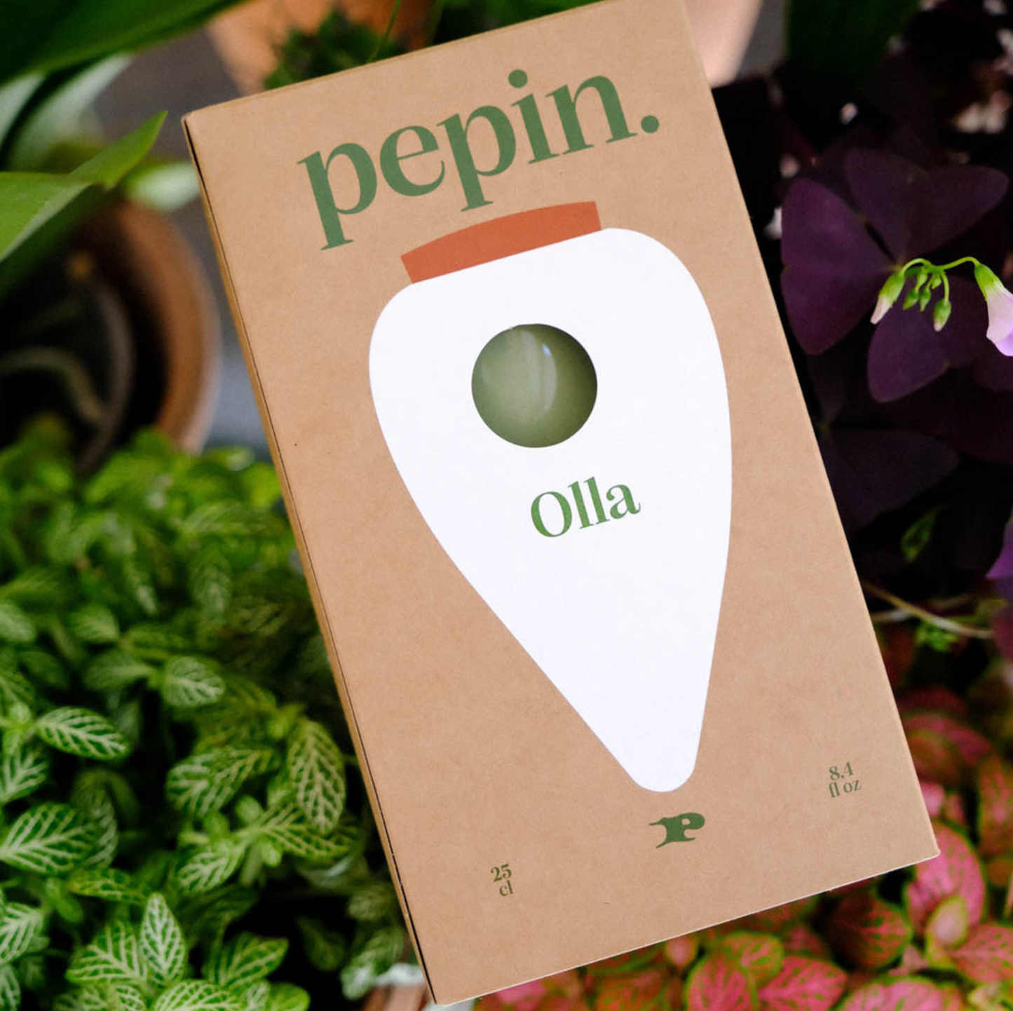 Pepin Olla - Green