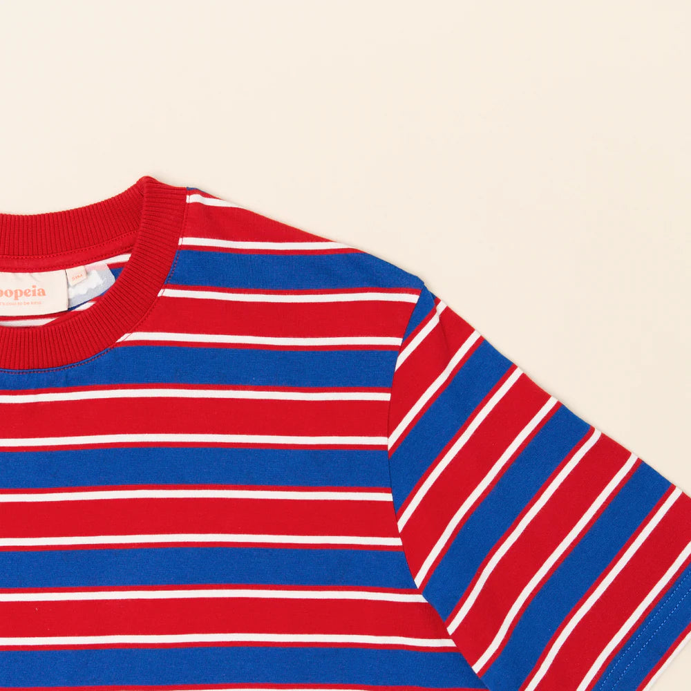 Organic Cotton T-Shirt (Striped) in Red/Blue