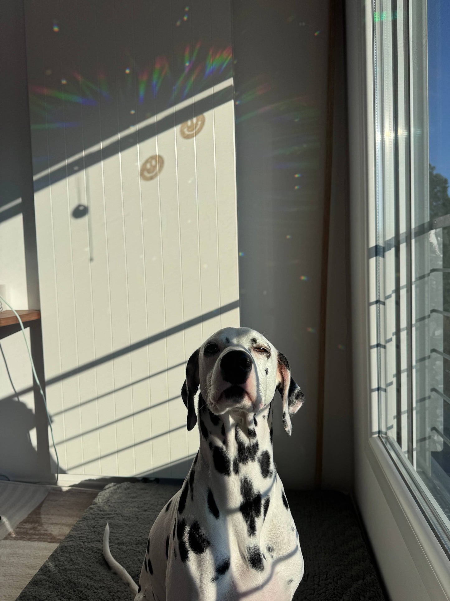 Suncatcher Window Sticker Smile, Smiley Sticker, Prism