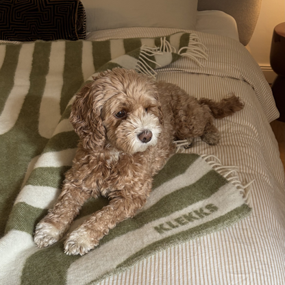 Klekks No. 34 - Wool blanket: Grün